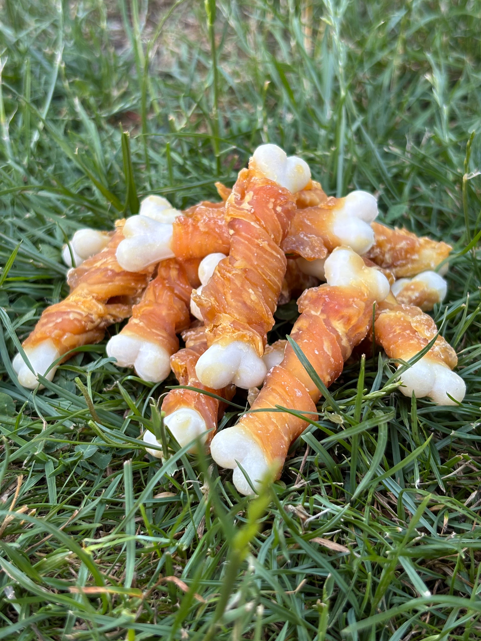 Calcium Knochen