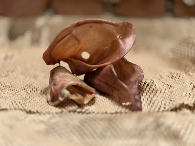Schweineohren für Hunde