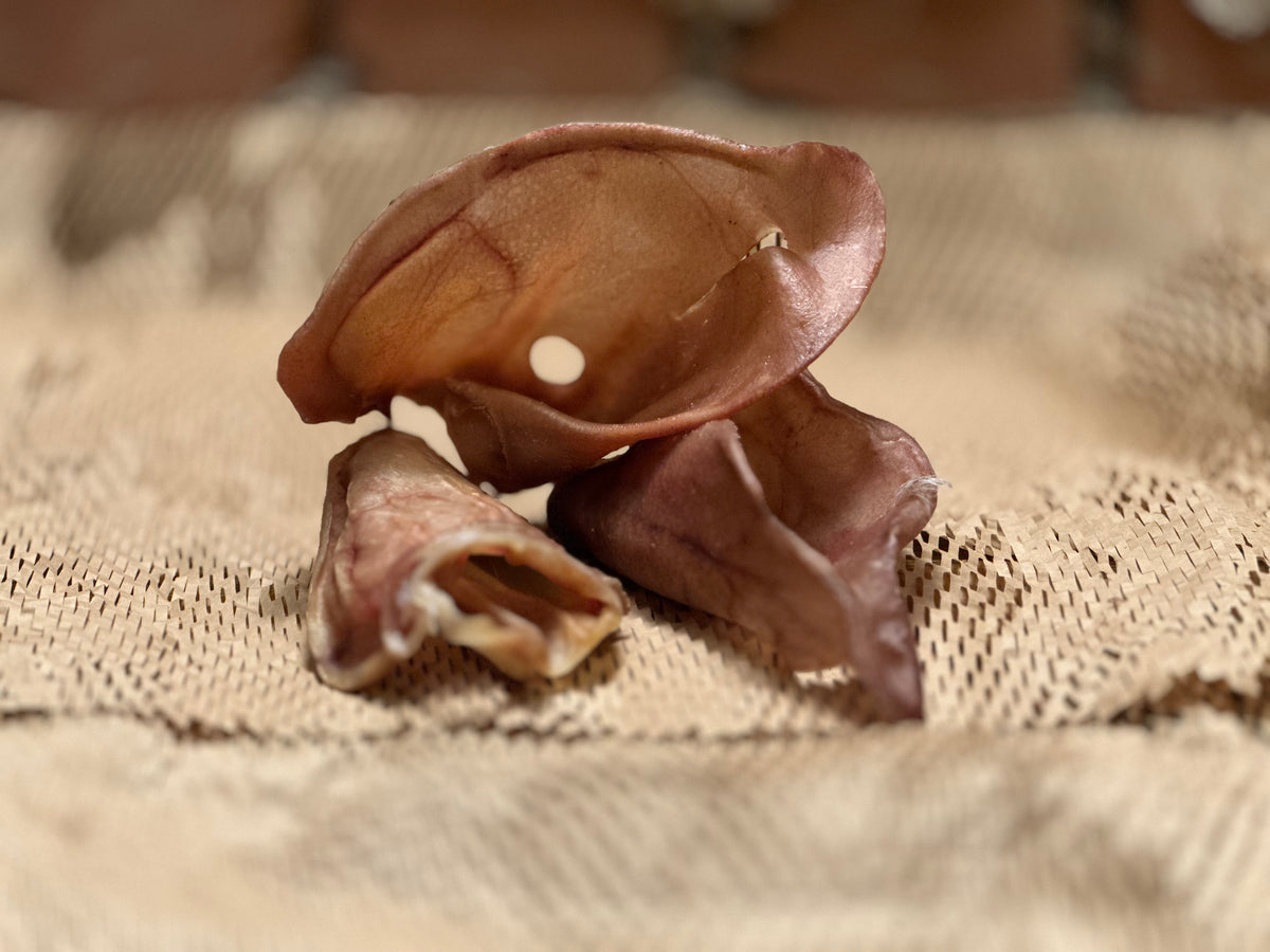 Schweineohren für Hunde