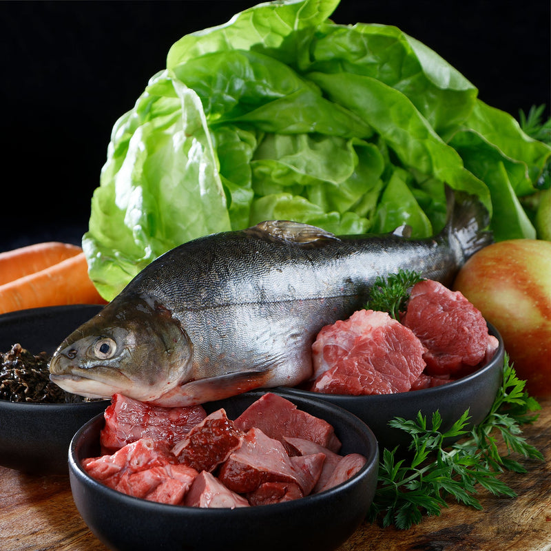 BARF-Mix Rind mit Forelle & Saibling für deinen Hund