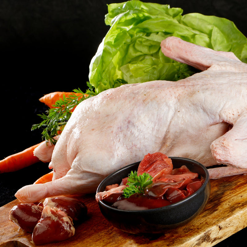 Ente pur – Hochwertiges BARF für Allergikerhunde