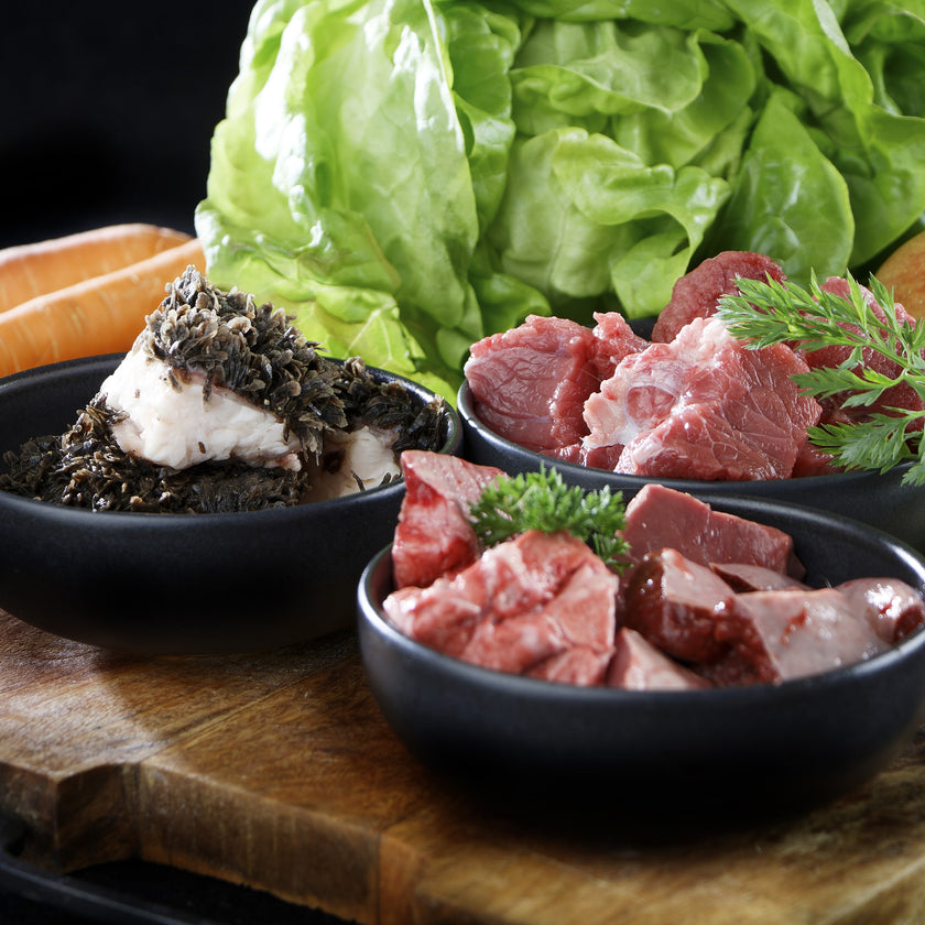 Schaf-Komplettmix – Natürliches BARF für Hunde