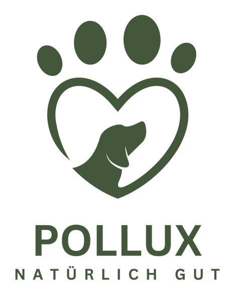 Pollux