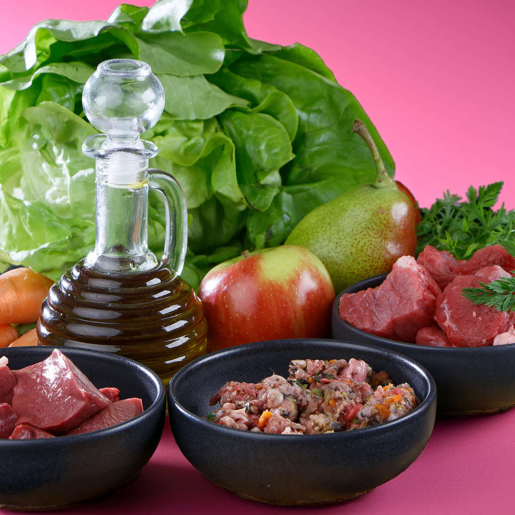 BARF Ente-Fertigmenü für Hunde