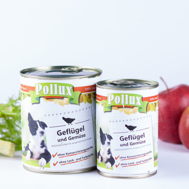 Nassfutter mit Geflügel & Gemüse für Hunde