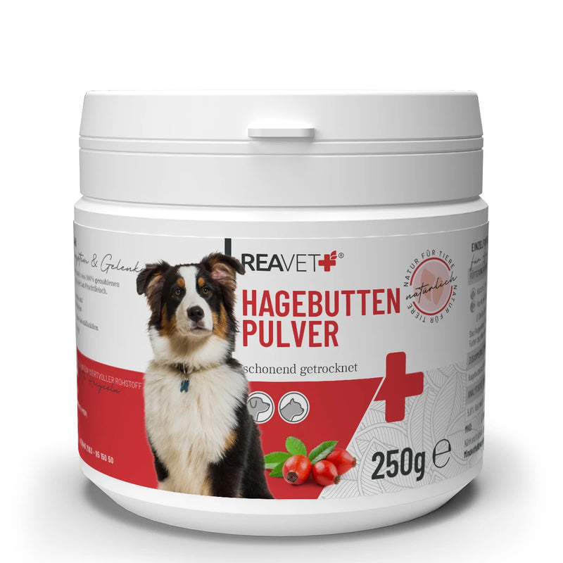 Hagebuttenpulver für Hunde
