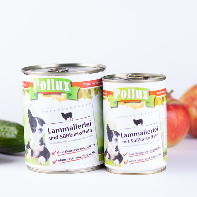 Nassfutter Lamm & Süßkartoffel für Hunde
