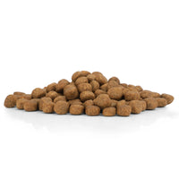 Welpen Hundefutter mit Geflügel & Reis